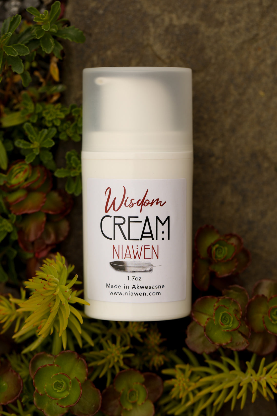 Wisdom Cream Birch/ Chaga