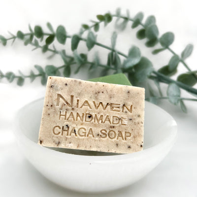 Chaga Soap